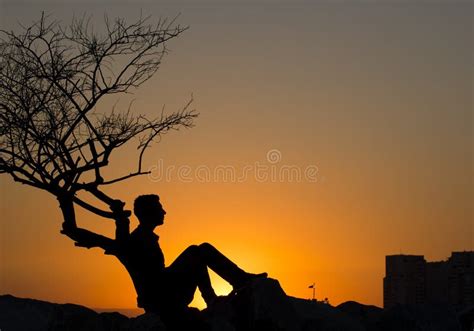 116 Silhouette Man Sitting Alone Under Tree Stock Photos - Free ...