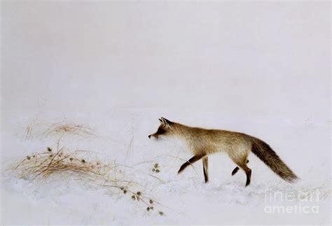 Fox in Snow Painting by Jane Neville