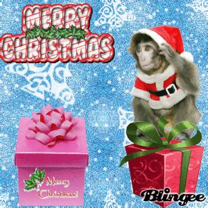 A monkey christmas Picture #75647686 | Blingee.com