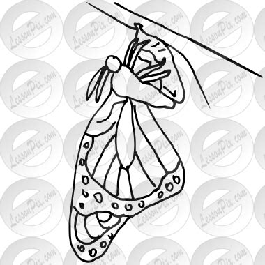 Butterfly Emerge Outline for Classroom / Therapy Use - Great Butterfly ...