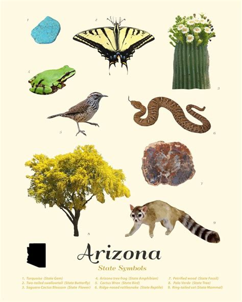 Arizona State Symbols Typology Arizona Art Arizona Poster - Etsy