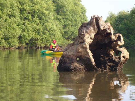 Mangalore Kayaking: Goa Kayaking in the Nerul Creek