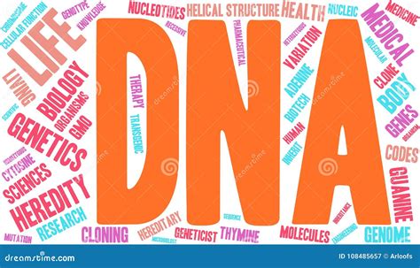 DNA Word Cloud stock vector. Illustration of chromosome - 108485657