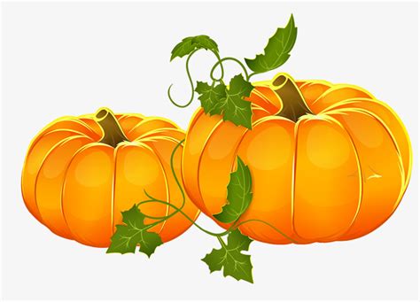 Pumpkin Vine Drawing | Free download on ClipArtMag