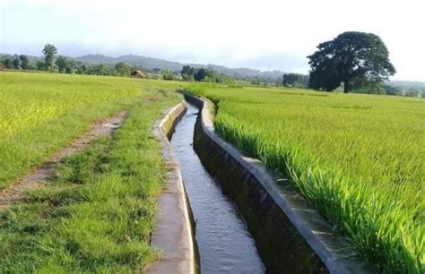 Reses Dimas Febriandie, Warga Usulkan Pembangunan Irigasi untuk Pengairan Sawah - jejakrekam.com