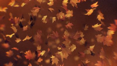 Autumn Leaves | Church Motion Graphics