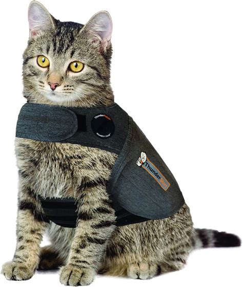 Amazon.com : ThunderShirt For Cats, Grey, Large ( > 13 lbs) : Pet Apparel : Pet Supplies