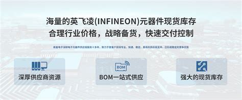 英飞凌公司（Infineon）是做什么的? - 英飞凌一级代理商|Infineon英飞凌公司授权中国代理商