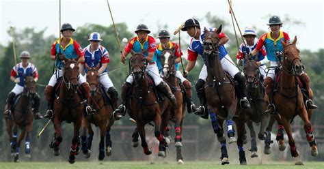 Top 10 Best Horse Polo Players in 2020 - sportsshow.net