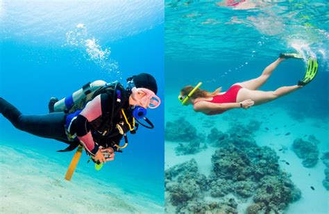 Snorkeling vs Scuba Diving: What's the Difference? - SMACODIVE