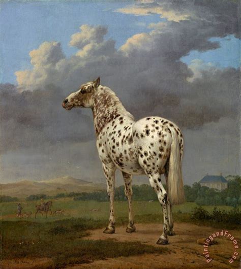 Paulus Potter The "piebald" Horse painting - The "piebald" Horse print for sale