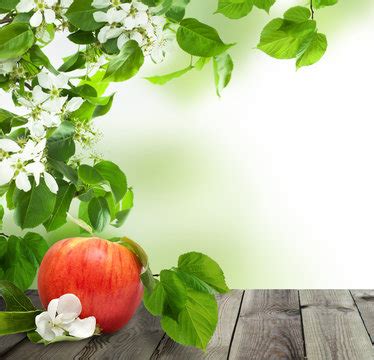 Apple Fruit Wallpaper