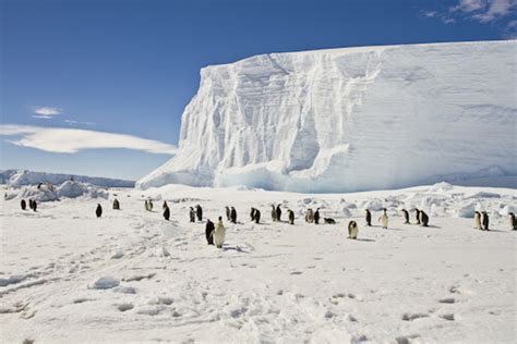 Antarctica Facts for Kids | Geography | Continents | Facts for Kids