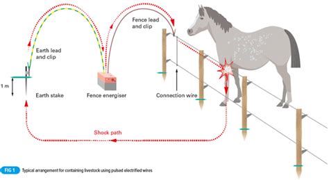 What are the installation requirements for electric fence controllers ...