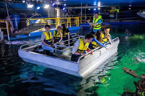 Glass Bottom Boat Tour At The Sea Life Sydney Aquarium - Secret Sydney