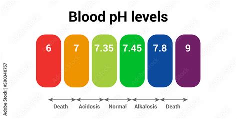 Human blood pH level icon Stock Vector | Adobe Stock