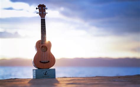 Ocean pier musical instrument guitar sunlight Preview | 10wallpaper.com