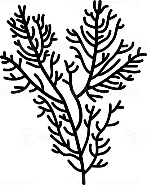 coral silhouette isolated 23743939 PNG