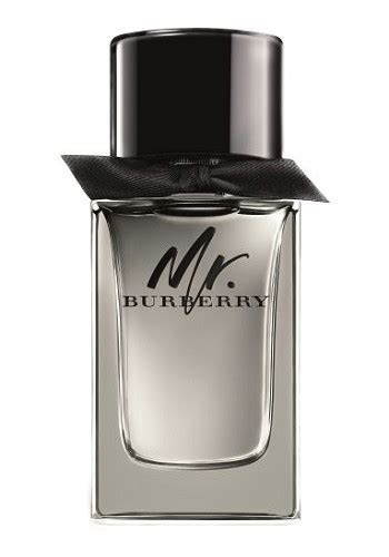 Mr Burberry Cologne for Men by Burberry 2016 | PerfumeMaster.com