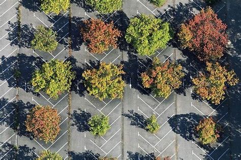 Image result for Parking Lot Planters, East St. Louis Park Landscape ...