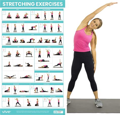 Vive Stretching Exercise Poster - Stretch Workout India | Ubuy