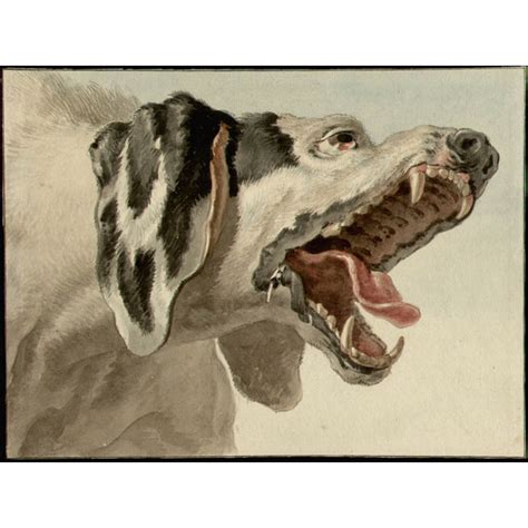 Old Masters, Sporting, Hunting Dog, Oudry, Antique Watercolor, 18th C ...