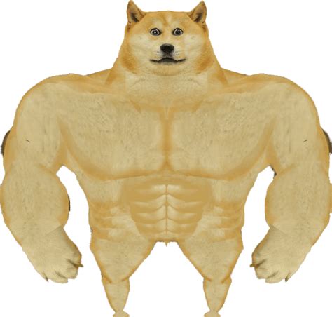 20+ Buff Doge PNG