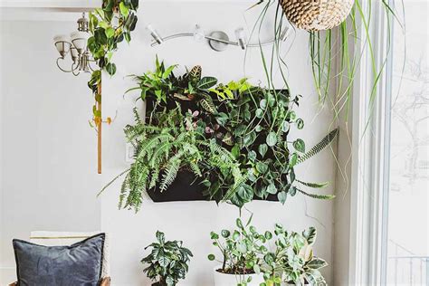 3 Simple Tips for Creating Your Own Trendy Living Plant Wall