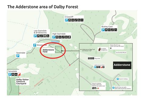 Dalby Forest Adderstone area survey | Forestry England