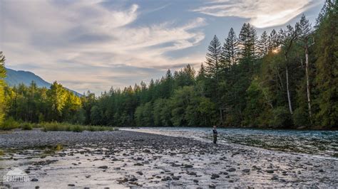 Skagit River Trail, Fall Time