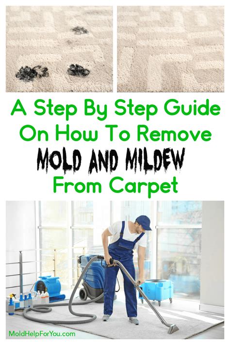 How To Get Mold Out Of Carpet | Mold Help For You