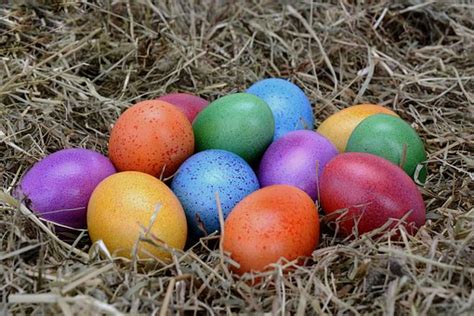 Entdeckt die Veranstaltung Ostermontag im Wildpark in Hanau - RheinMain4Family