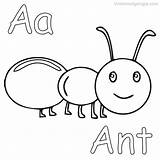 Printable Ant Coloring Pages PDF  Coloringfoldercom sketch template