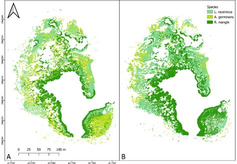 Maps of spatial distribution of mangrove species predicted by: A) RGB ...