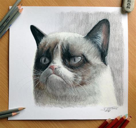 Pencil Drawing of the Grumpy Cat by AtomiccircuS on DeviantArt