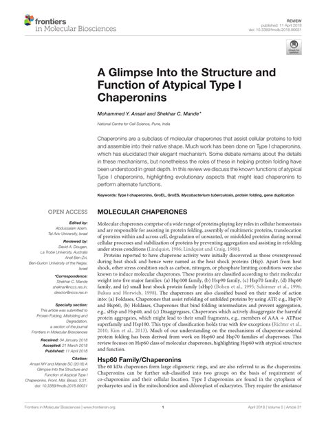 (PDF) A Glimpse Into the Structure and Function of Atypical Type I Chaperonins