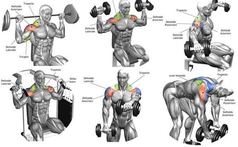 The Complete Exercises Sets & Reps Guide To Show Off Mind Blowing Delts Training - GymGuider.com ...