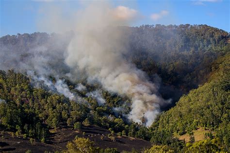 Free Images : forest, mountain, cloud, scrub, smoke, bush, fire, heat, burn, trees, australia ...