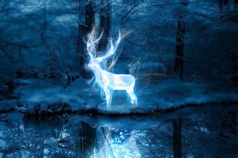 Take Pottermore’s new Patronus quiz to find out if you’re a dolphin ...