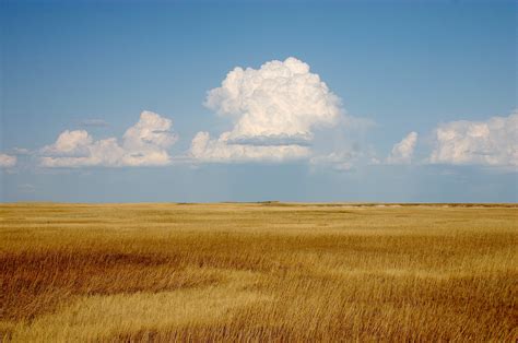 🔥 [40+] Prairie Wind Wallpapers | WallpaperSafari