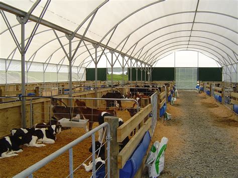 Calf shelters - Redpath