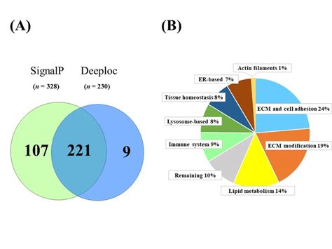 Secreted proteins identified in human Simpson Golabi Behmel Syndrome ...