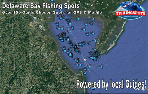 Delaware Bay Fishing Spots- Best Locations for Delaware Inshore Fishing