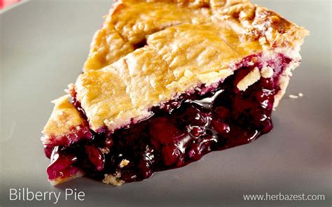 Bilberry Pie | HerbaZest