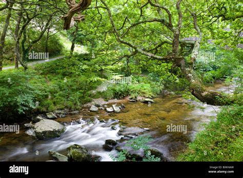 Exmoor National Park Stock Photo - Alamy