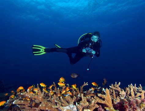 Diving in Pemba Island | Afro Divers | PADI