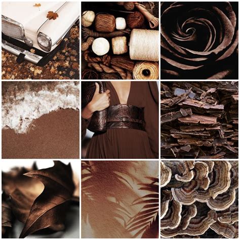 Brown Aesthetic Mood Board | Brown aesthetic, Earthy style, Brown and grey