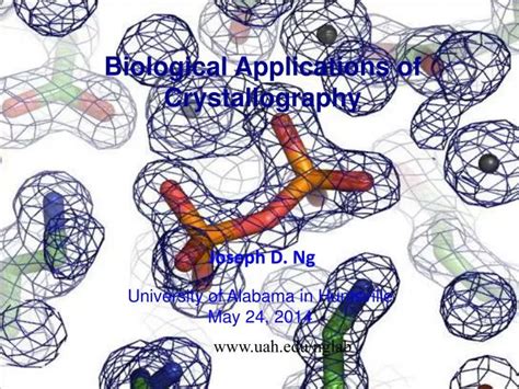 PPT - Biological Applications of Crystallography PowerPoint Presentation - ID:4766084