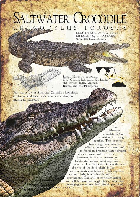 Saltwater Crocodile Habitat Map