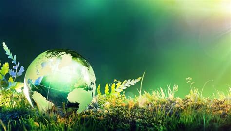 Earth Day 2016: Simple ways you can help save the planet! | Environment News | Zee News